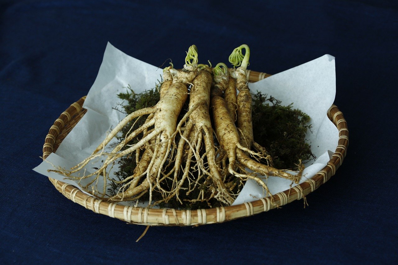 인삼꿈-인삼-ginseng